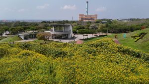 環保公園向日葵花海吸睛 台中市后里療癒打卡秘境