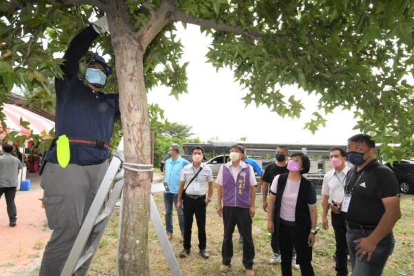 彰化縣正式啟動景觀樹木修剪技術認證考照 提升園藝專業水平