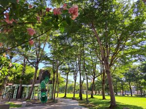 中市豐富公園入口意象優化 「城市減法美學」新風貌夯