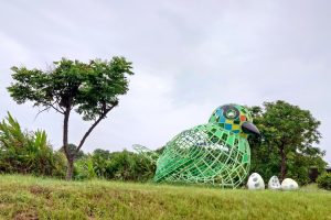 中央公園公共藝術吸睛 五米高五色鳥現蹤台中 