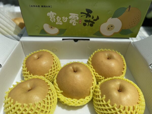 林仁傑農友獲今年度寶島甘露梨王 台中寶島甘露梨果品評鑑結果揭曉