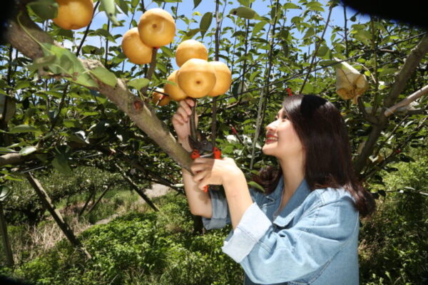 「魅力中台灣」香港發光 台中市拓展國際觀光商機